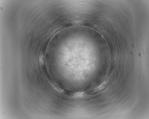 X0000075830090200609291433