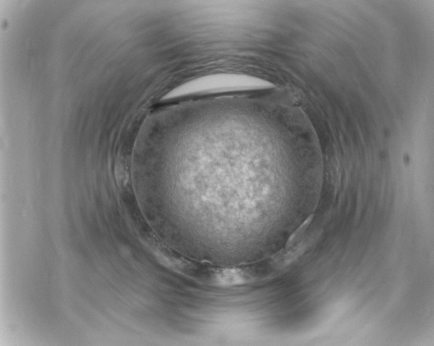 X0000075830091200609291433