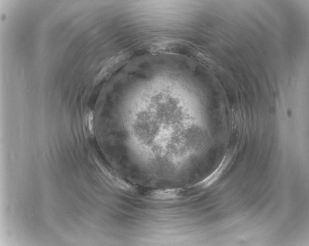 X0000075830094200609291433