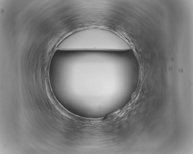 X0000075830097200609291432