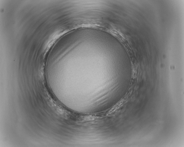 X0000075830098200609291432