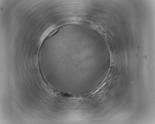 X0000075830099200609291432