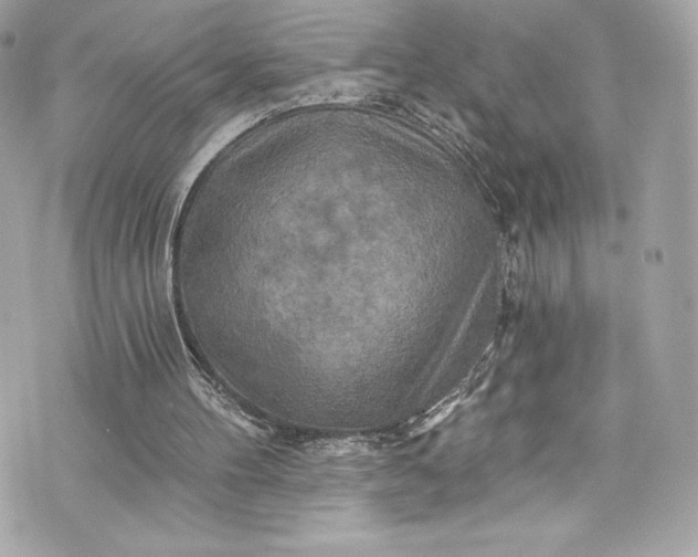 X0000075830100200609291432