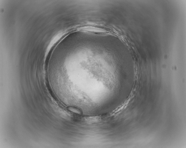 X0000075830102200609291432