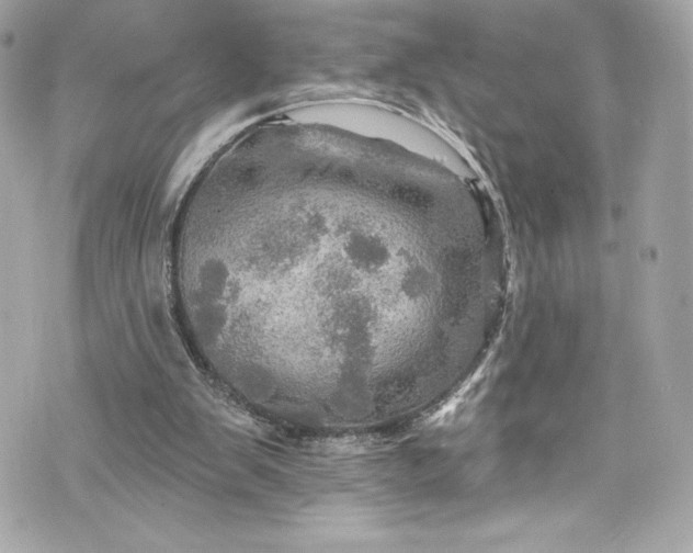 X0000075830103200609291432