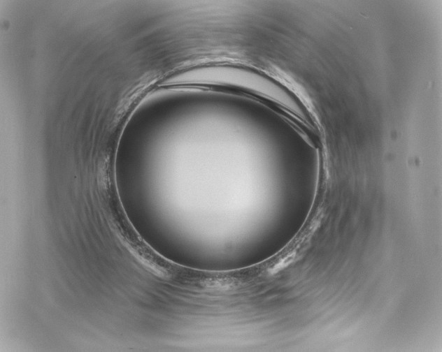 X0000075830105200609291432