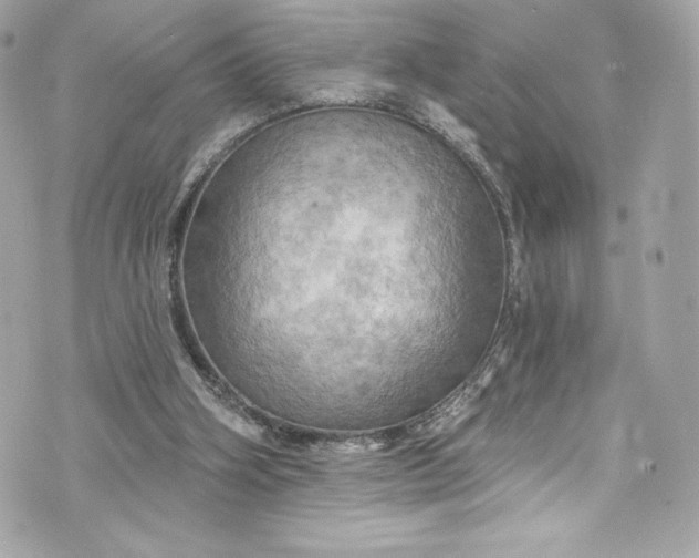 X0000075830106200609291432