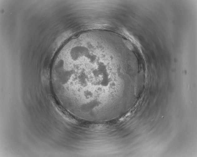 X0000075830107200609291432