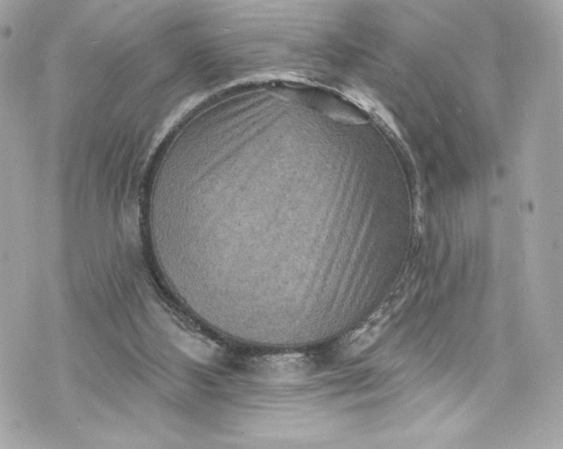 X0000075830108200609291432