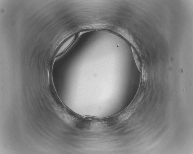 X0000075830109200609291432