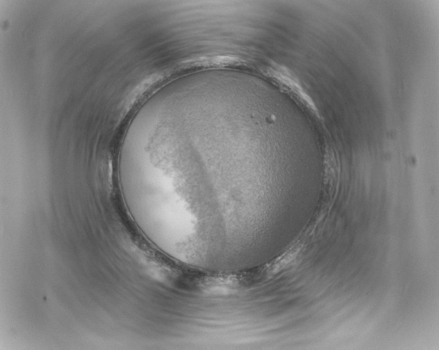 X0000075830110200609291432