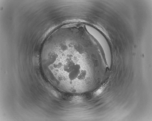 X0000075830111200609291432