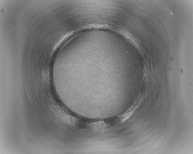 X0000075830112200609291432