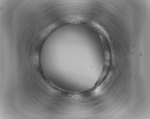 X0000075830113200609291432