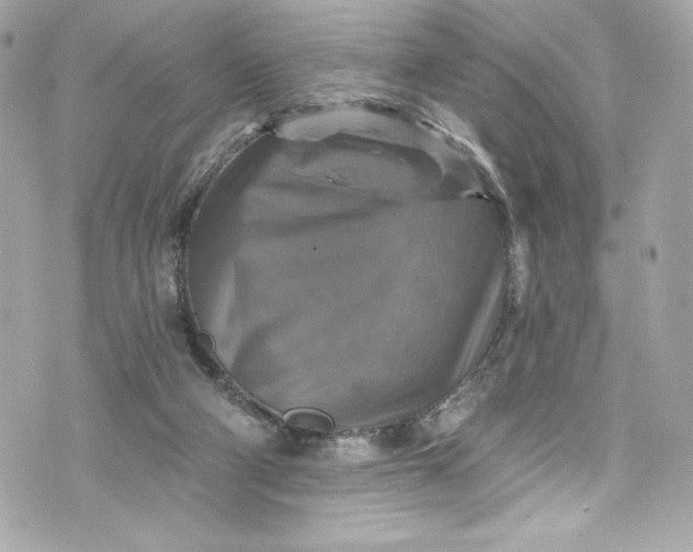 X0000075830114200609291432