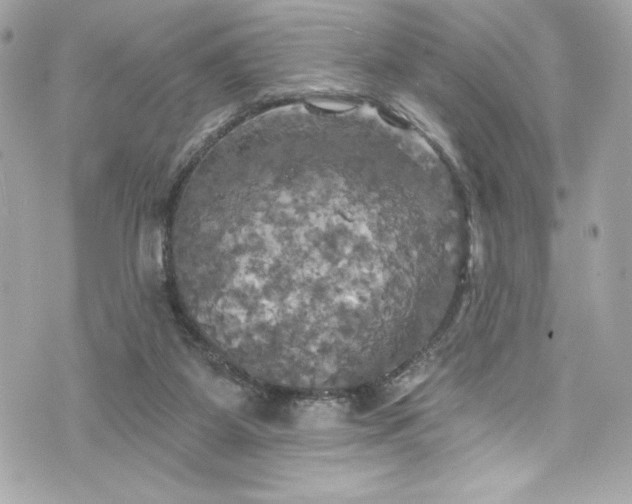 X0000075830115200609291432