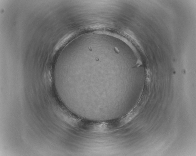 X0000075830116200609291432