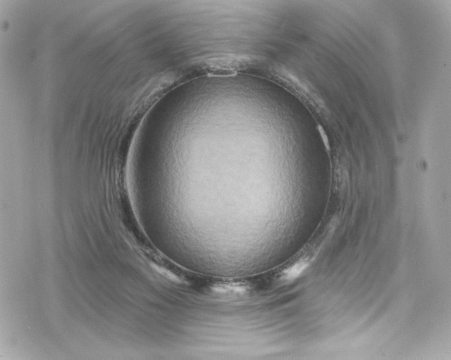 X0000075830117200609291432