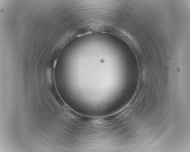 X0000075830121200609291432