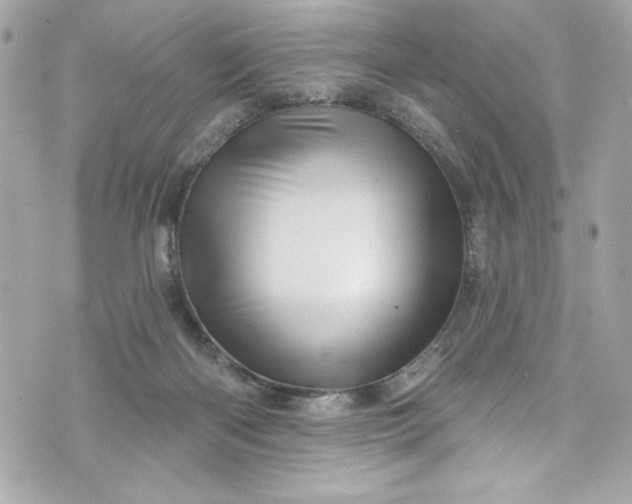 X0000075830122200609291432