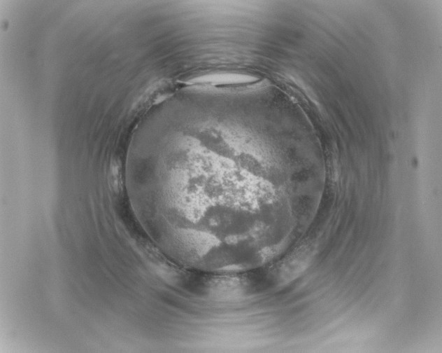 X0000075830123200609291432