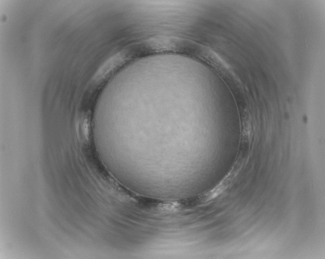 X0000075830124200609291432