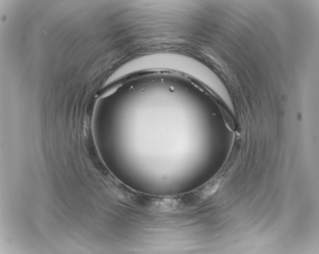 X0000075830125200609291432