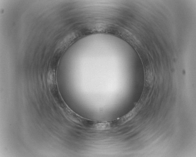 X0000075830126200609291432