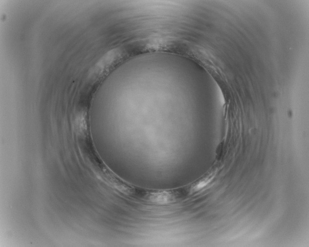 X0000075830127200609291432