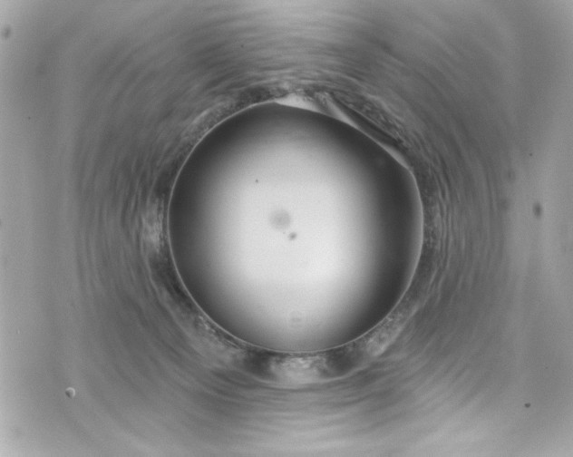 X0000075830129200609291431