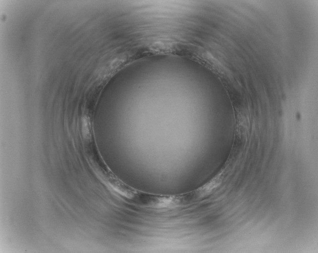 X0000075830130200609291431