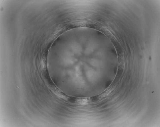 X0000075830131200609291431