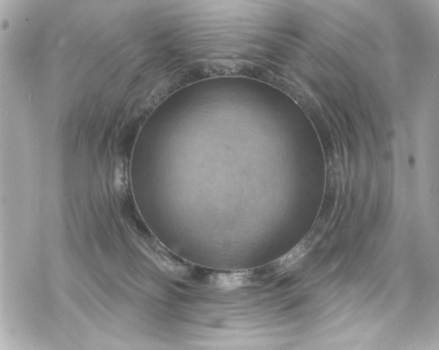 X0000075830134200609291431