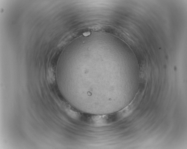 X0000075830136200609291431