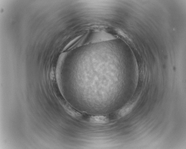 X0000075830137200609291431