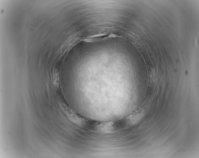 X0000075830138200609291431