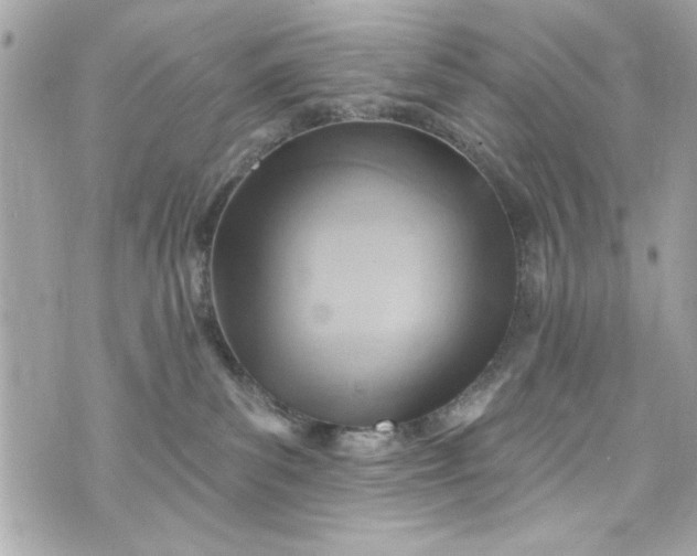 X0000075830139200609291431