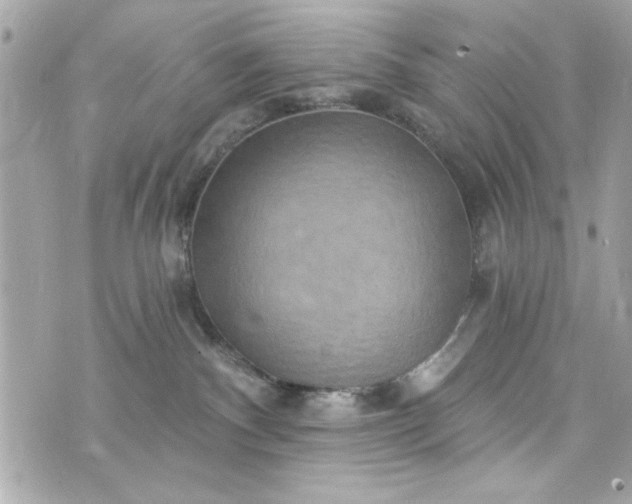 X0000075830140200609291431