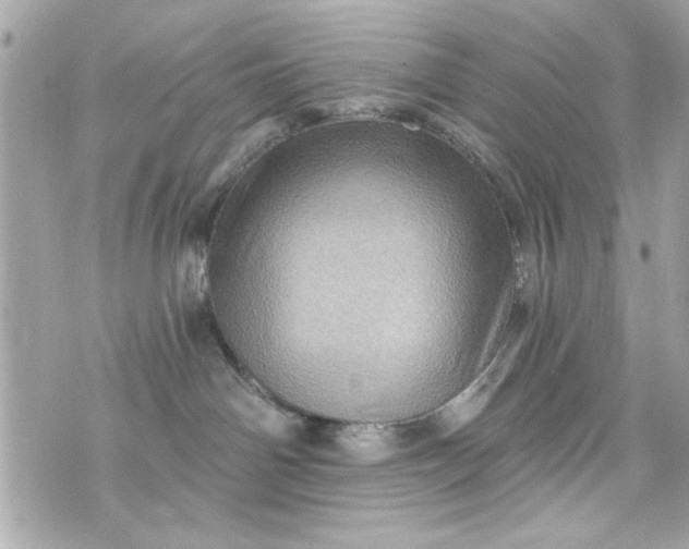 X0000075830142200609291431