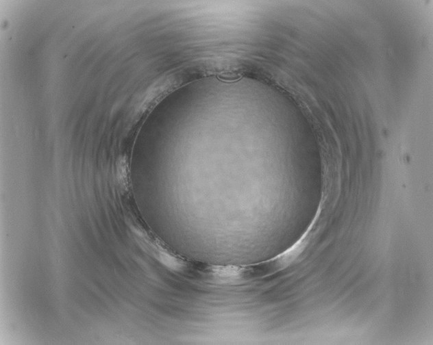 X0000075830144200609291431