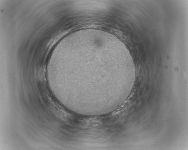 X0000075830146200609291430