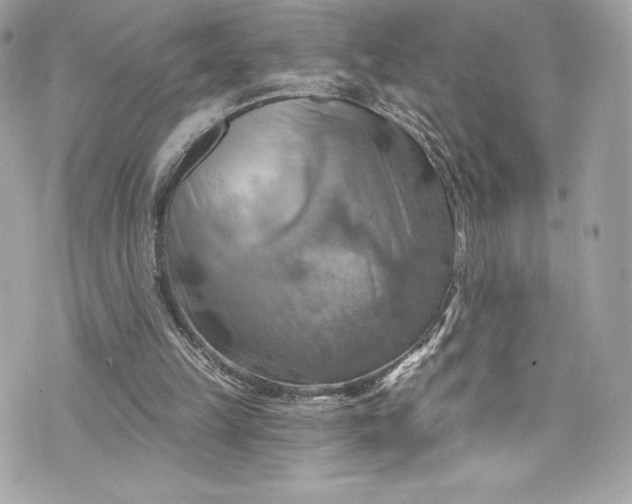 X0000075830149200609291431