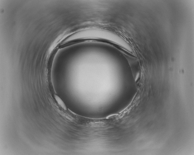 X0000075830150200609291431