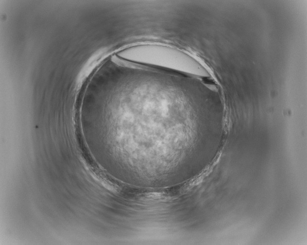 X0000075830151200609291431