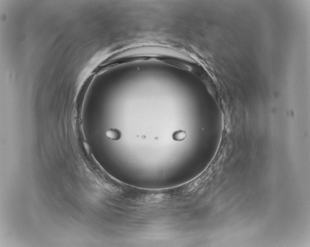 X0000075830152200609291431