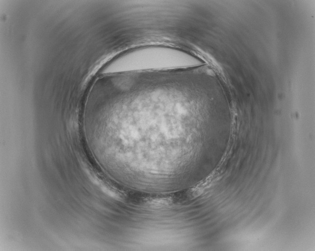 X0000075830155200609291431