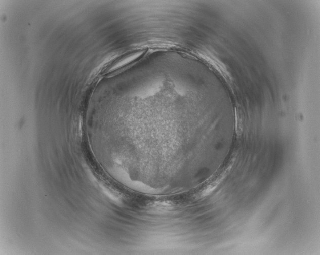 X0000075830157200609291431