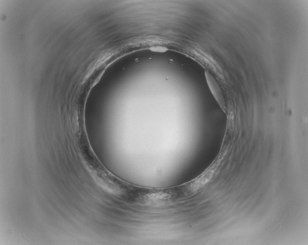 X0000075830158200609291431