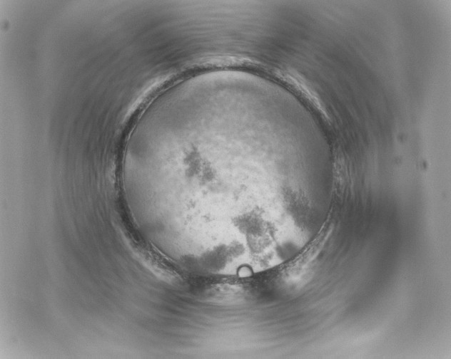 X0000075830159200609291431