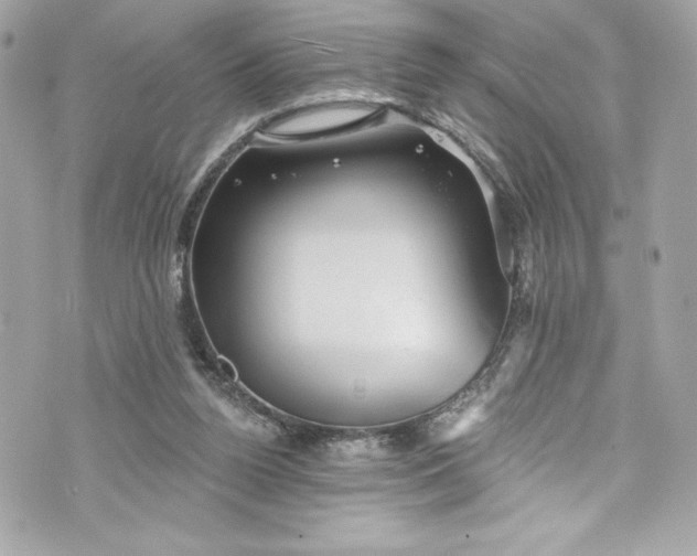 X0000075830160200609291431